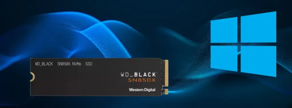 Western Digital SSDs